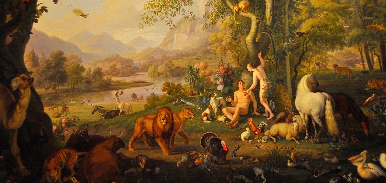 What does the Bible actually say about Adam and Eve? | Faraday