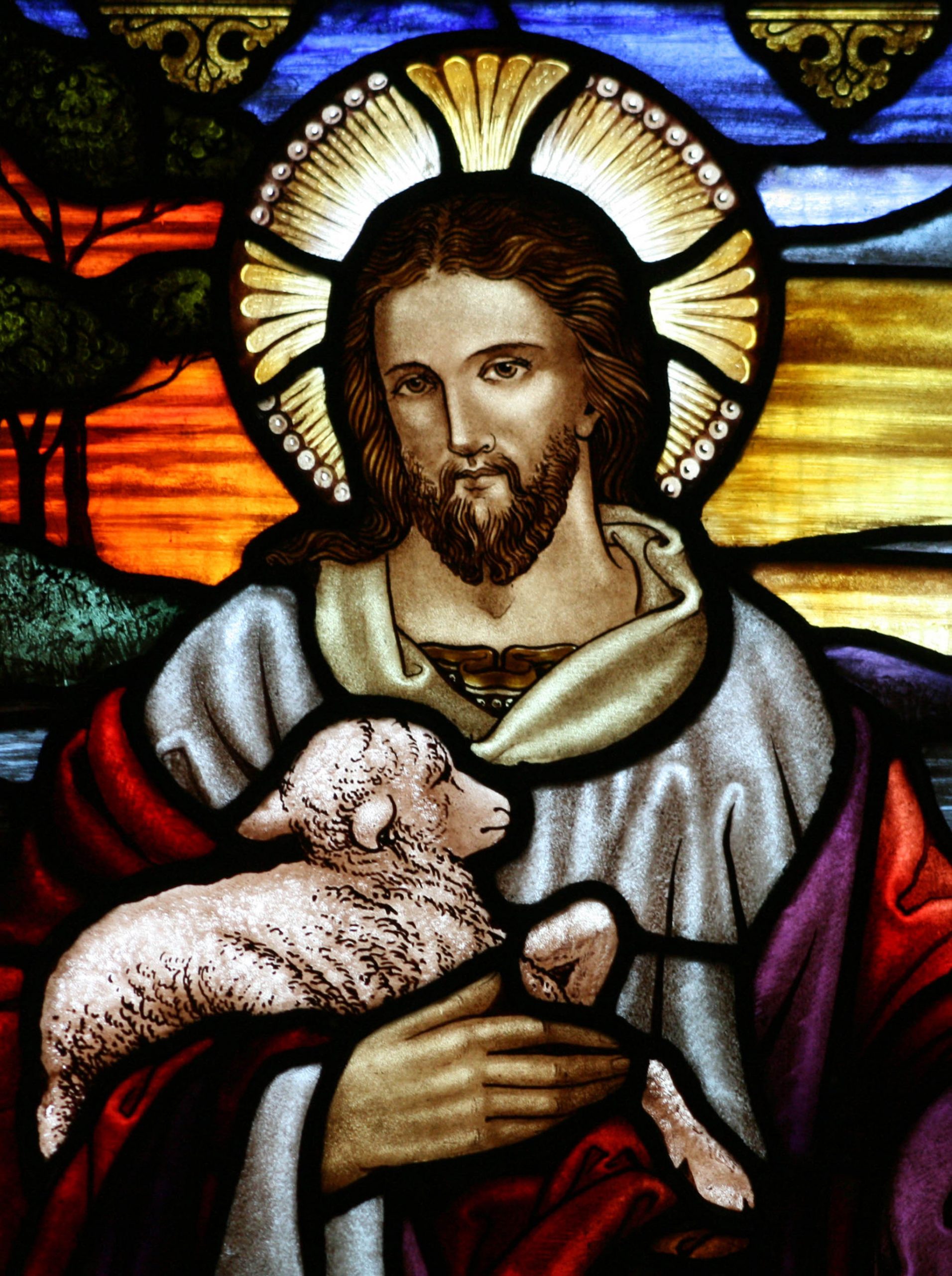 2048px-StJohnsAshfield_StainedGlass_GoodShepherd_Portrait_cropped