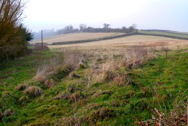 countryside_near_alton_pancras_-_geograph-org-uk_-_1101543