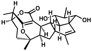 Cyclostreptin, of the molecules David has made