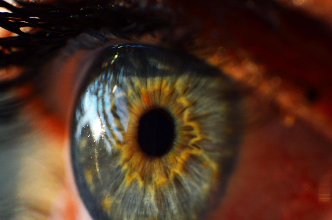 human-eye-995168_1280