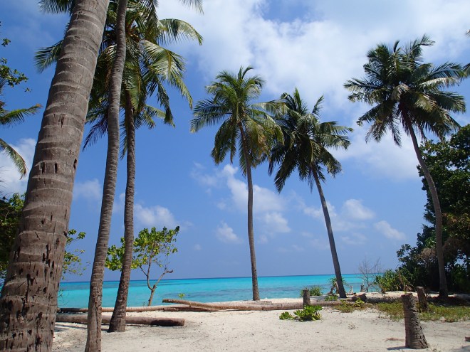 The uninhabited island of Dhidhdhoo. © Cara Daneel