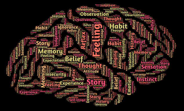 mind brain-544404_640 John Hain pixabay copy