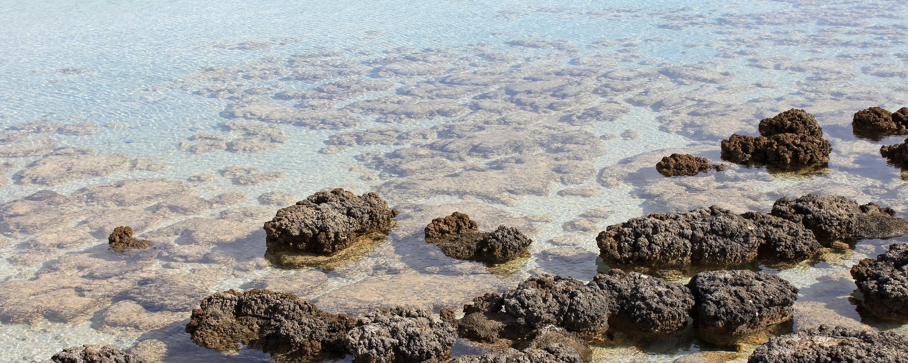 stromatolites red-caps-1105914_1920 pixabay cop