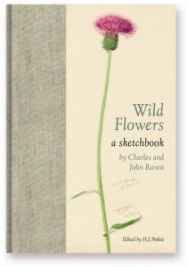 Wild flowers scketchbook Charles raven