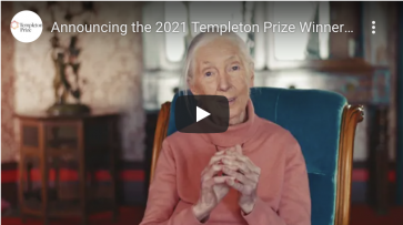 Jane Goodall Awarded 2021 Templeton Prize