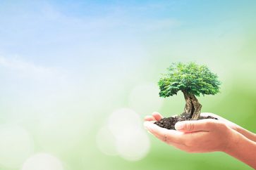 Caring for Creation: Leading the Church Forward